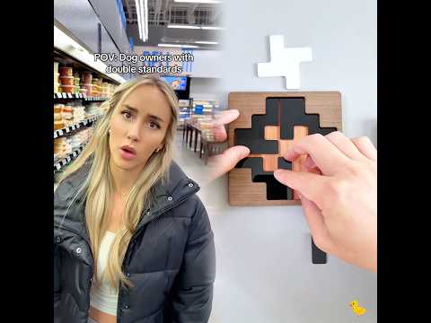 no excuses when it comes to Oliver #dogs #dogowners #pets #dogcomedy