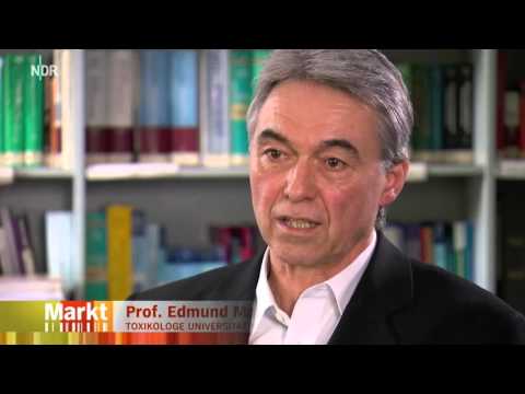 Wie gesund ist vegetarischer Fleischersatz NDR Markt