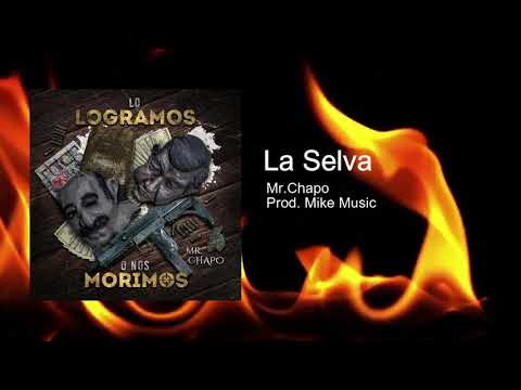 La Selva🐯- Mr. Chapo (Prod. by Mike Music) (Audio)