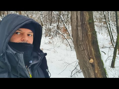 Potraga za gljivama 22 Januar 2023