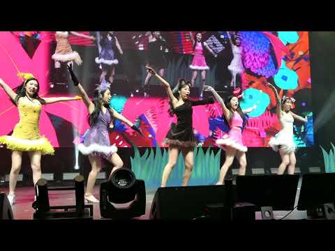 2019.02.07 Redmare Concert in LA - Red Velvet - Happiness (Fancam)