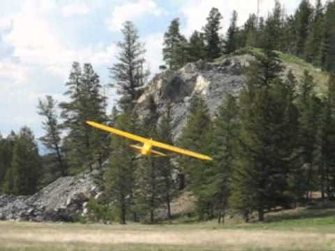 Ron's 1/3 scale Cub flying demo