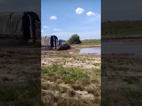 Sin miedo al barro 🇨🇴🇨🇴 la Chavela rumbo a Puerto Carreño Vichada 🙏  #trucks #trailer