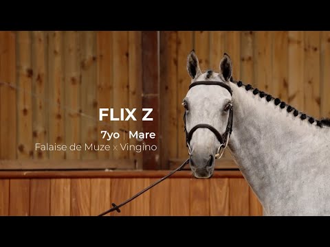 5. Flix Z | Profile