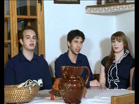 Ans. Pomladni Zvoki - Domača hiša (ljudska)