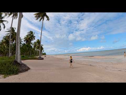 Alagoas 2026 - Tatuamunha - Porto das Pedras - Brasil