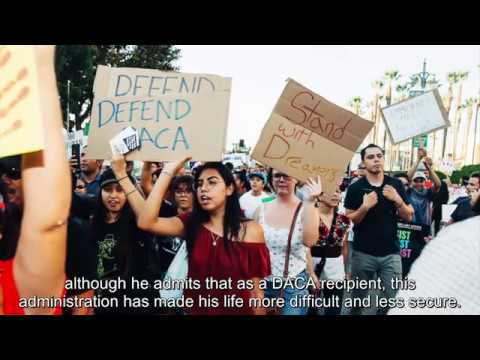 Caitlin Box, Somos luchadores