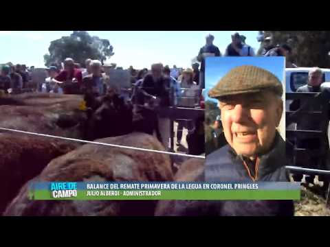 JULIO ALBERDI, HACE EL BALANCE DEL REMATE DE PRIMAVERA DE LA LEGUA.