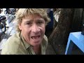 Crocodile Hunter Surfing Snakes