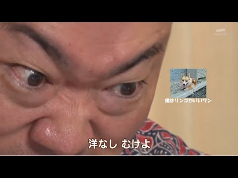 空耳アワー:洋なし むけよ（空耳ネタ） のサムネイル