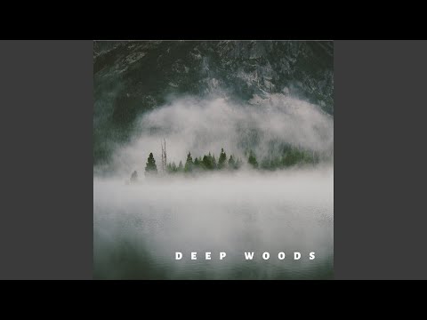 Deep Woods (Original mix)