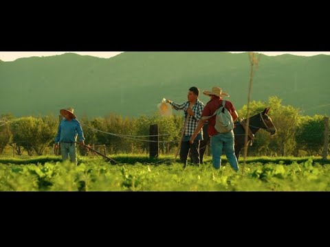Equipo HC - El Arte De Saber Esperar [Video Oficial]