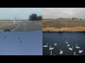 channel