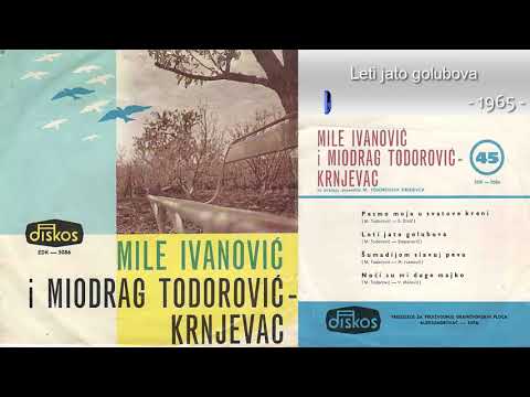 Duet Mile Ivanovic i Miodrag Todorovic Krnjevac - Leti jato golubova - (Audio 1965)