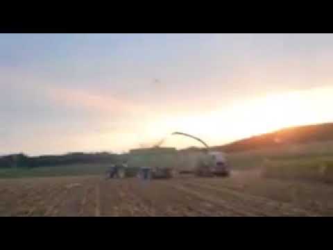 Ich und mein Mais Song | FloZockt