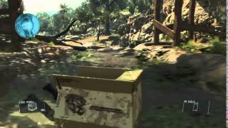 Surfin usa - mgo3