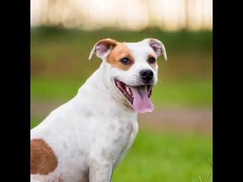 Alessandra Sawick Photography video.