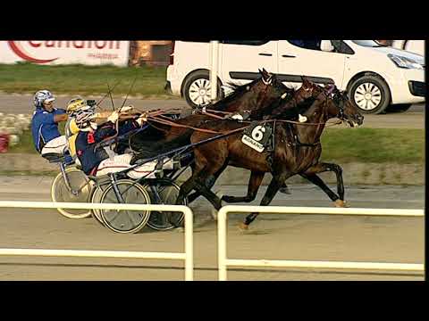 Napoli Trotto 07/07/2023 - 3ª corsa