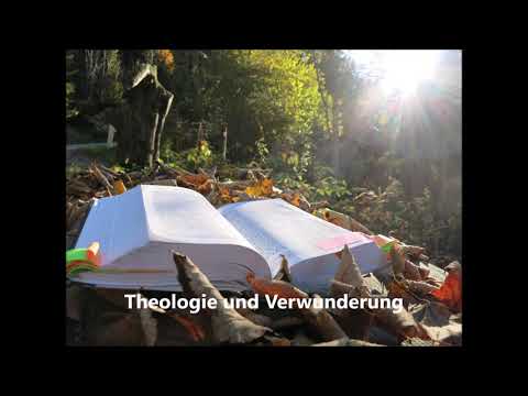 Theologie und Verwunderung