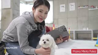 Download lagu Siti Badriah - Mama Minta Pulsa mp3 Download lagu Siti Badriah - Mama Minta Pulsa mp3