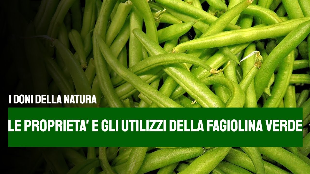le proprietà e benefici dei fagiolini verdi