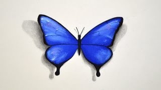 How to Draw a Butterfly With Pastel - Fine Art-Tips