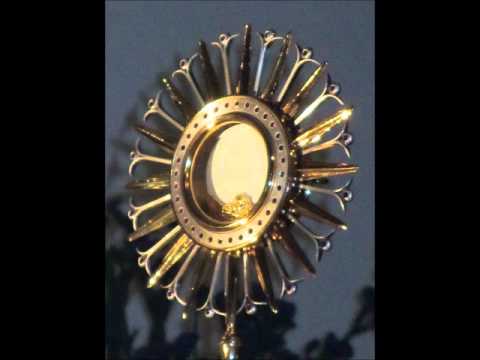 Reflexão para Quinta-Feira Santa