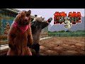Tekken 3 Soundtrack Kuma Panda