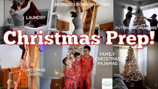 Christmas Tree + Christmas Lights & Christmas Family Pajamas!