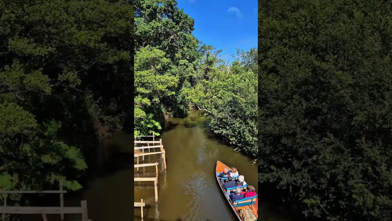 Une balade en pleine Amazonie landaise pendant tes vacances au Capfun Landisland !