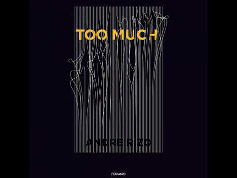 Too Much * * *  (Original mix) * ANDRE RIZO * *