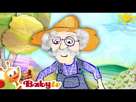 Old McDonald Had a Farm 👨‍🌾 | Nursery Rhymes & Songs for Kids 🎵 | @BabyTV