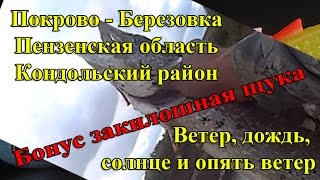 Березовка пензенская область рыбалка