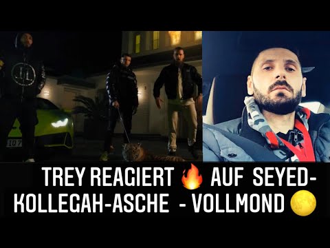 TREY REAGIERT🔥 Auf..  Seyed - Kollegah- Asche - VOLLMOND 🌕