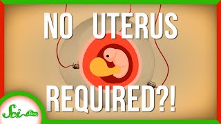 Big Breakthrough in Artificial Wombs | SciShow News