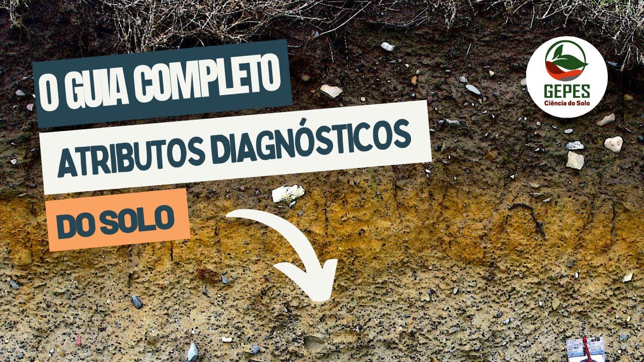 Guia completo: Atributos diagnósticos do solo (SiBCS)
