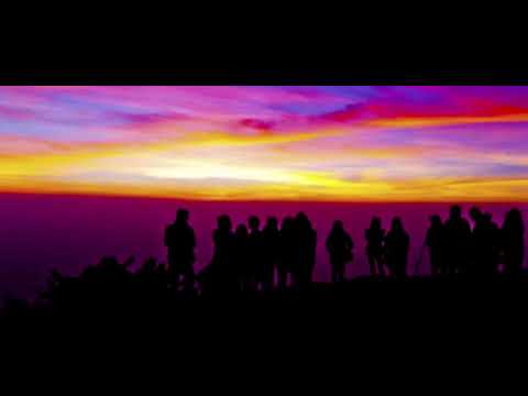 Protect Us From The Virus...Monk Owens