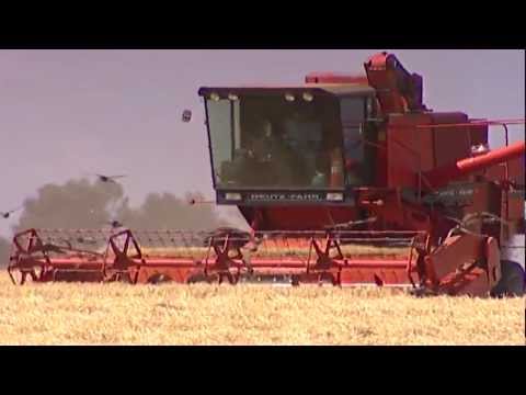 Monsanto's Deadly Crops