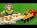 Monkey Toby Try Playing With Marble Run Rain Gutter And Wooden Rail MONKEY TOBY ANIMAL