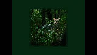 Talking heads - Animals ☆ OUTRO EXTENDED 