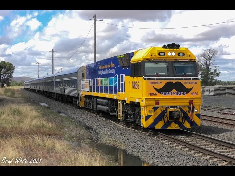 Trackside: X48 on 7731V empty grain & 'Movember' NR66 on the first Overland in ten months- 3/1/21