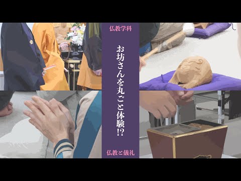 お坊さんを丸ごと体験⁉仏教学科の気になる授業「仏教と儀礼」を紹介！ 大正大学 仏教学科
