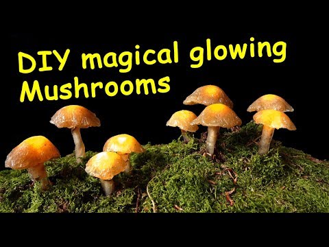 Magical Glowing Mushrooms // DIY