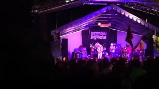 The Flower Kings - Numbers live at Slottsskogen Goes Progre