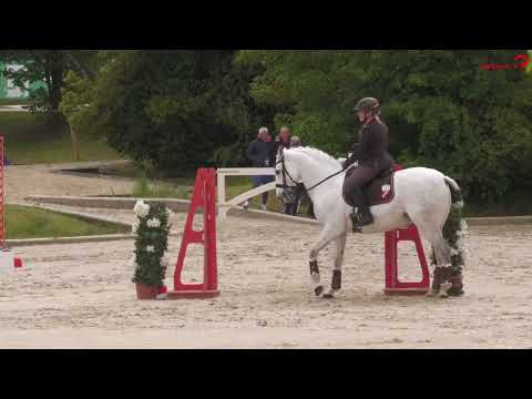 Siegesritt Martina Weteschnik | Pferd International München 2023