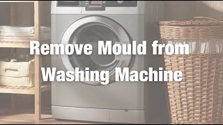 How to Remove Mould from the Washing Machine