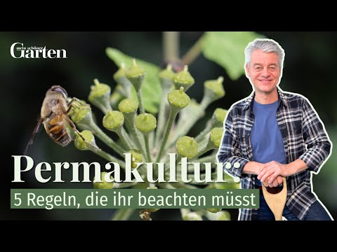 Permakultur: 5 Regeln, die ihr beachten müsst