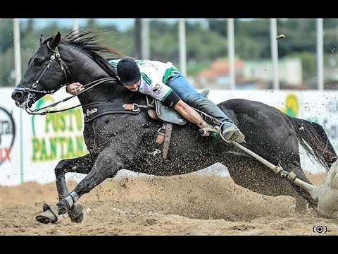 Arreio de Ouro & Buscapé - Forró e Vaquejada