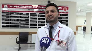 Siirt'te teknolojiyle donatılan hayvan hastanesinde 7/24 hizmet