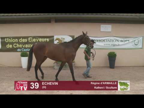 Concours AQPS Cercy 2016 Lot 39 : ECHEVIN